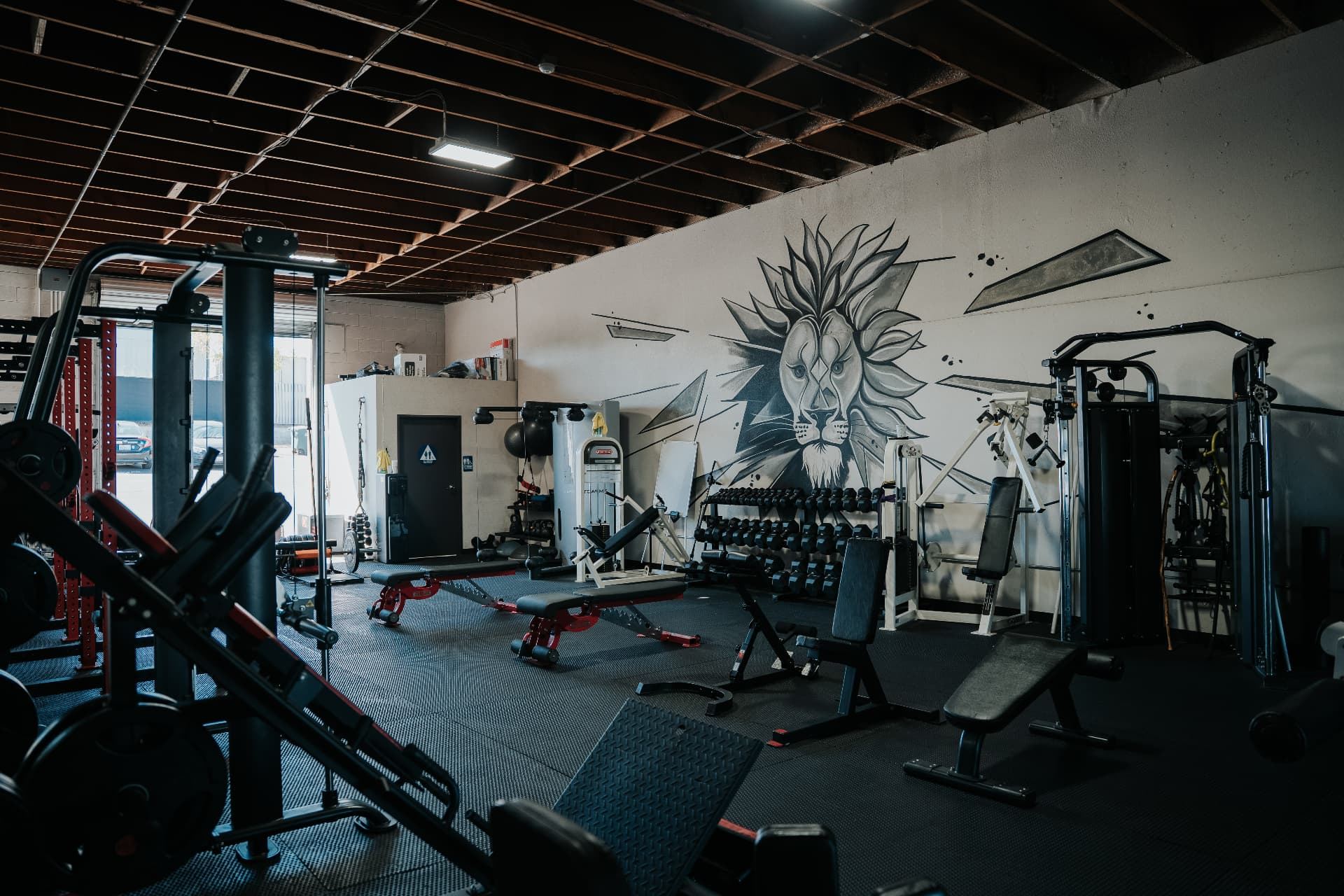 LionStrong Athletics training floor with red squat racks and the lion mural
